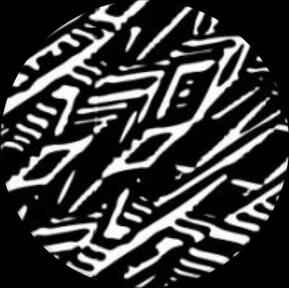 dni/byf